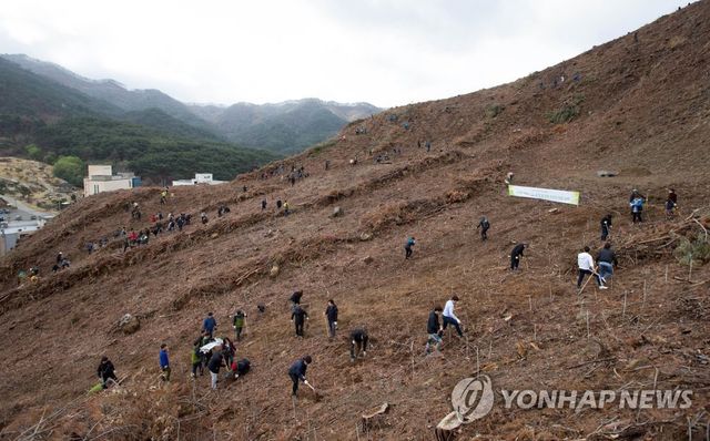 춘천시 2018년 나무심기 행사