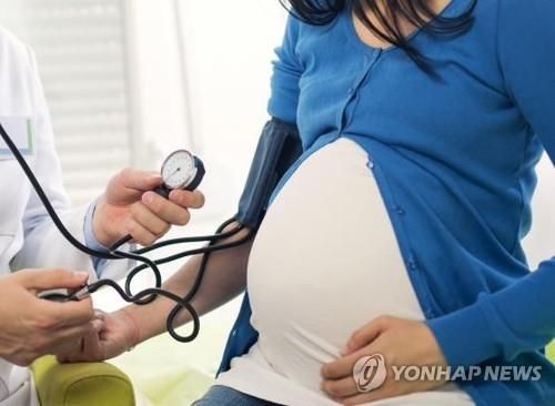 임신부 자료 사진