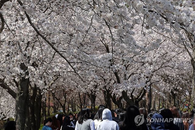 봄향기 가득한 홍성