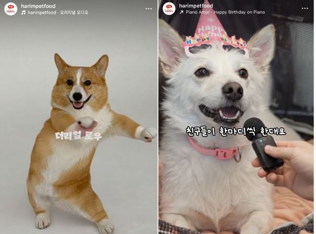 [하림펫푸드 제공]