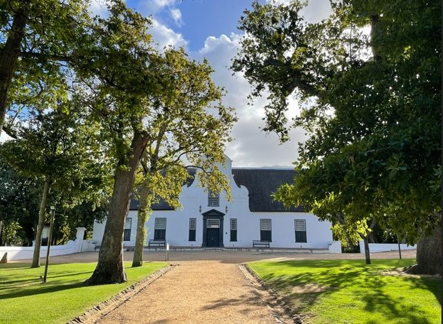 남아공에 있는 와인 농장