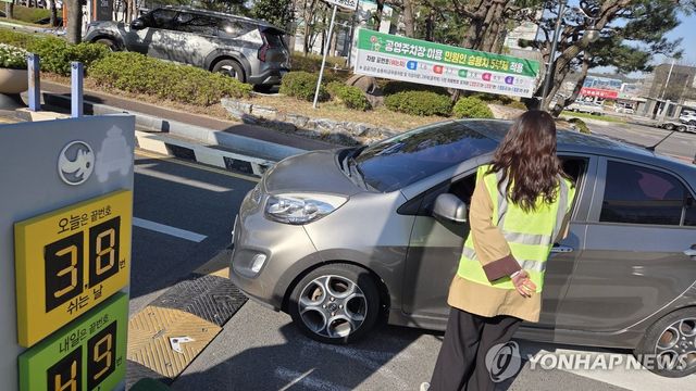 공공기관 2부제 단속 현장
