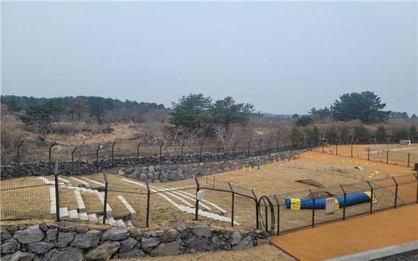 제주도 반려동물 놀이공원 전경