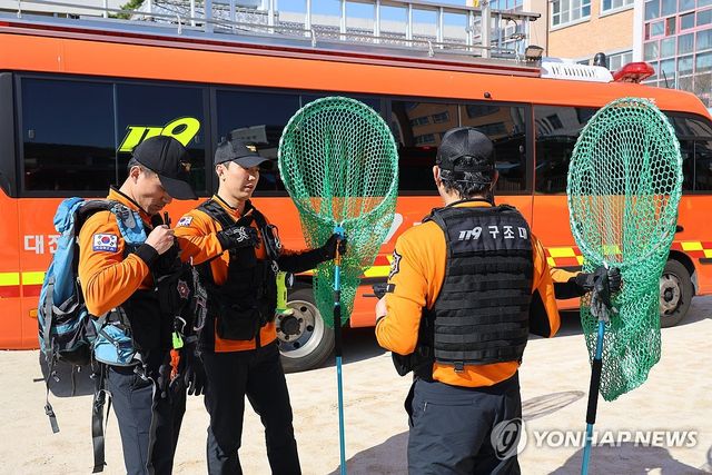 탈출한 늑대 생포 준비