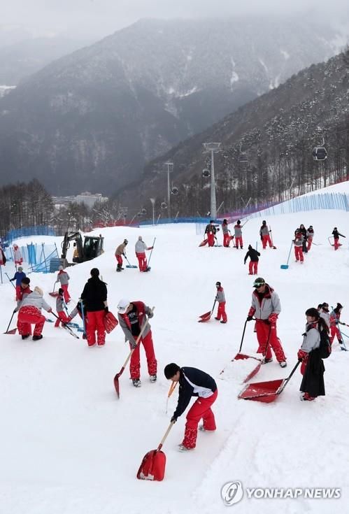 정선 알파인경기장 전경