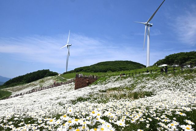 청옥산 자료사진
