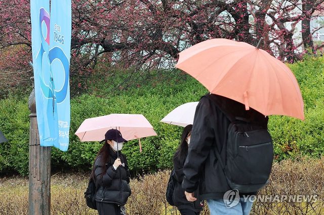 봄비 내리는 교정