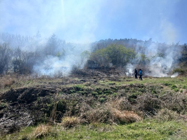 전남 진도군 한 야산서 불