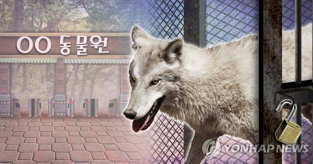 대전 오월드 동물원서 늑대 1마리 탈출