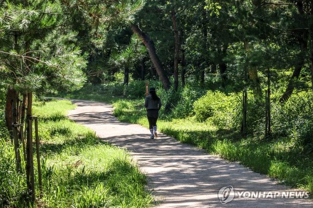 서오릉 산책길에서 달리기하는 시민