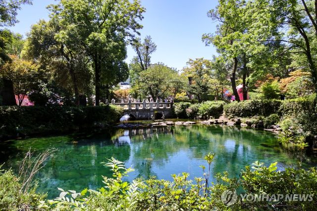 도심에 솟아나는 낙동강 발원지…황지연못