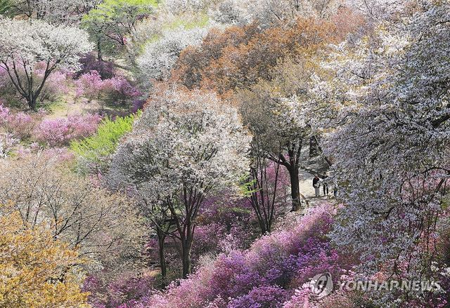 '봄의 색채'