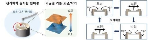 연구 모식도