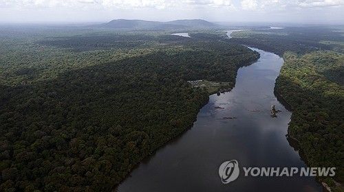 에스퀴보강