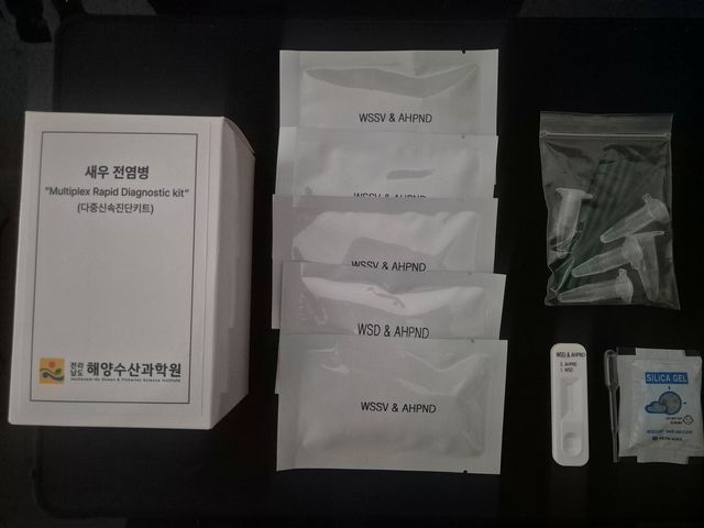 새우 전염병 복합 진단키트