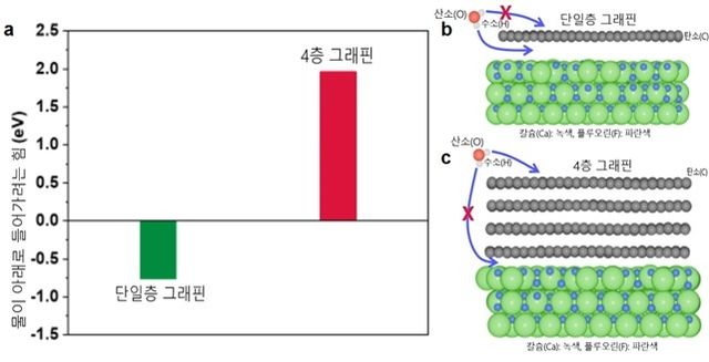 단일층 그래핀과 다층 그래핀에서의 물 침투 차이