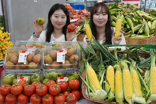 [롯데마트 제공. 재판매 및 DB금지]