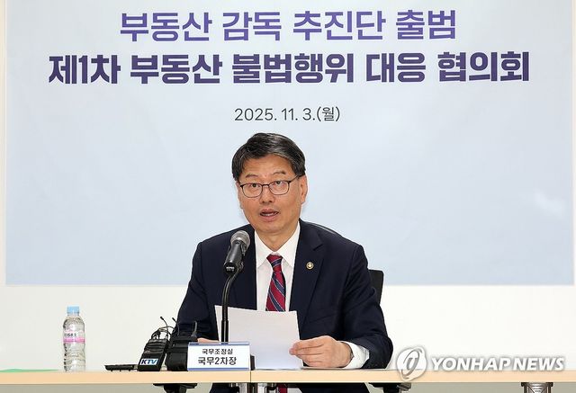 부동산 감독 추진단 출범 회의에서 발언하는 김용수 국조실 국무2차장