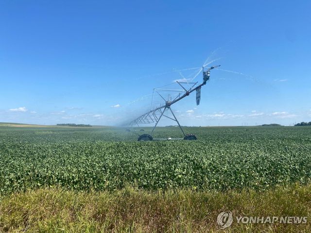 미국의 대두 농장