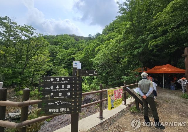 주왕산 기암교에서 바라본 주봉 등산로