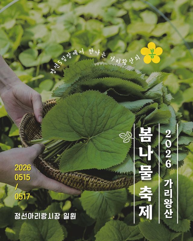 정선 가리왕산 봄나물 축제