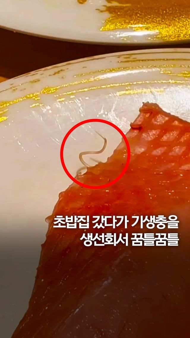 [쇼츠] 생선회에 기생충 꿈틀꿈틀…홍콩 식당 위생 도마에 - 2