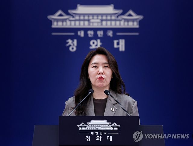 브리핑하는 강유정 수석대변인