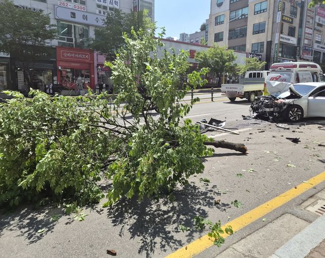 춘천 석사동 사고 현장
