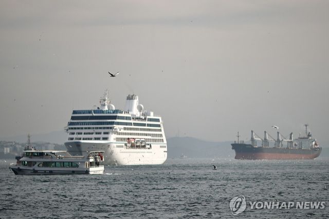보스포루스 해협 지나는 크루즈선, 유람선, 화물선