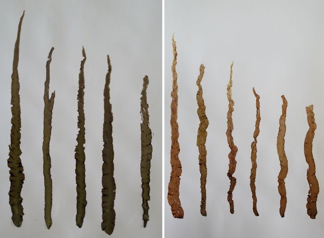 단김(왼쪽)과 잇바다돌김