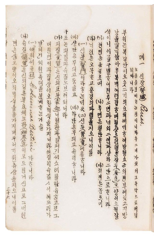 '해부학(제중원 한글의학교과서)' 2권 신장 부분 