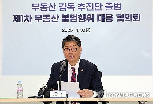 지난해 11월 부동산 감독 추진단 출범 회의의 김용수 국무2차장