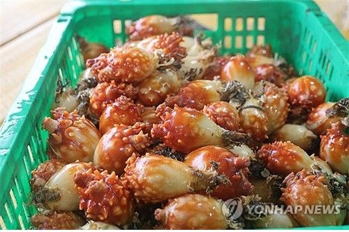통영 멍게