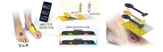 연구 개념도