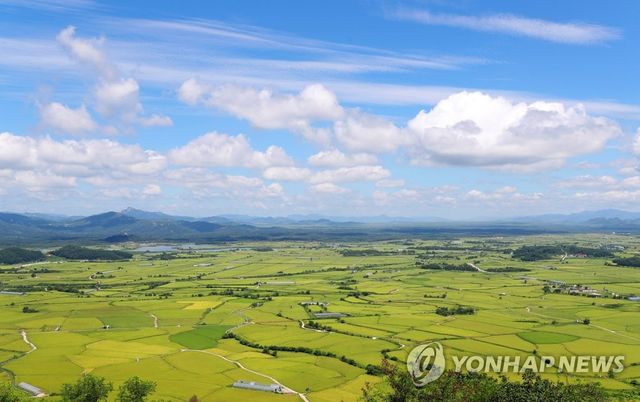 소이산 전망대에서 바라본 철원평야