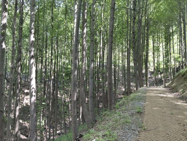 경남산림환경연구원 시험림