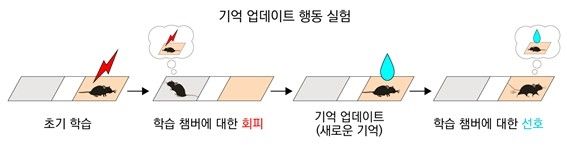 연구 개념도