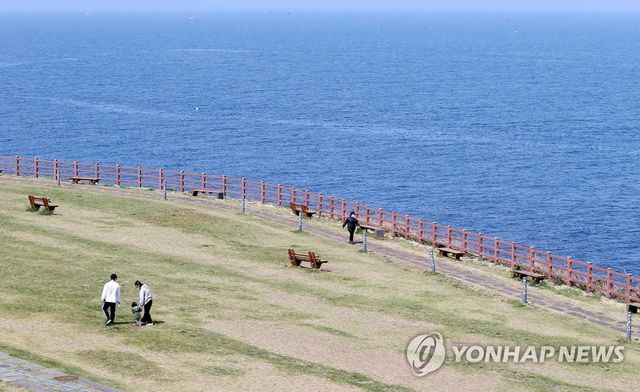 여유로운 제주의 봄