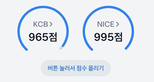개인신용평가사(CB)별로 다른 신용점수 