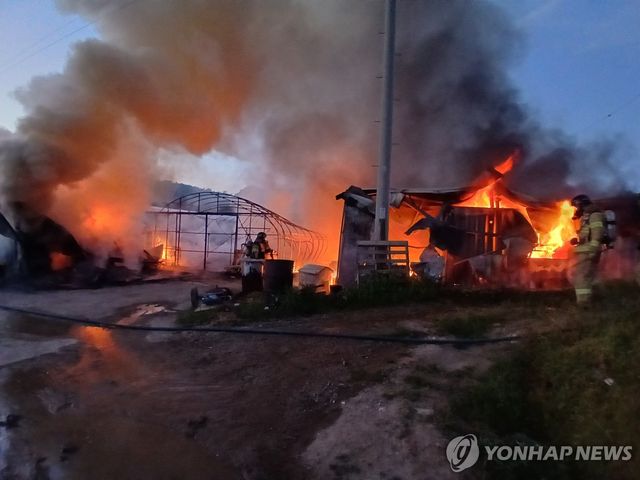 고창 시설하우스에서 불