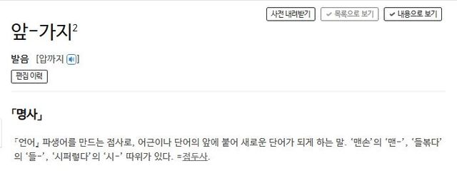 파생어를 만드는 접두사, 즉 앞가지에 대한 사전의 정의