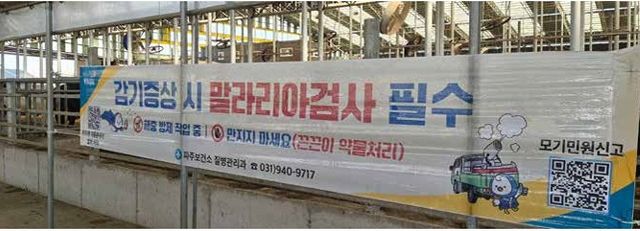 파주시 조리읍 한 농장에 설치된 끈끈이 현수막