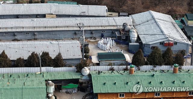 아프리카돼지열병 발생…분주한 방역 당국