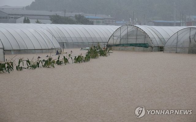 물에 잠긴 청주 오송 일대