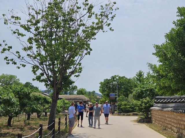 하회마을 방문한 외국인 관광객들