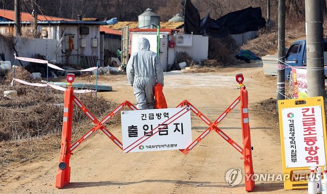(평택=연합뉴스) 권준우 기자 = 20일 아프리카돼지열병(ASF)이 발생한 경기도 평택시 한 돼지농장에서 관계자들이 출입을 통제하고 있다. 2026.2.20 stop@yna.co.kr