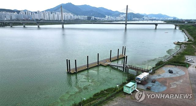 낙동강 녹조