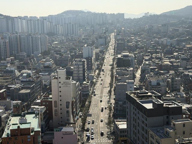 다산로 전경
