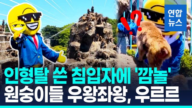 [영상] 아기 원숭이 '펀치' 보려 했나…일본 동물원 울타리 넘은 남성 - 2