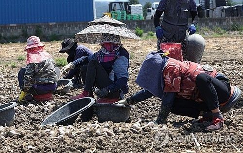 외국인 계절 근로자